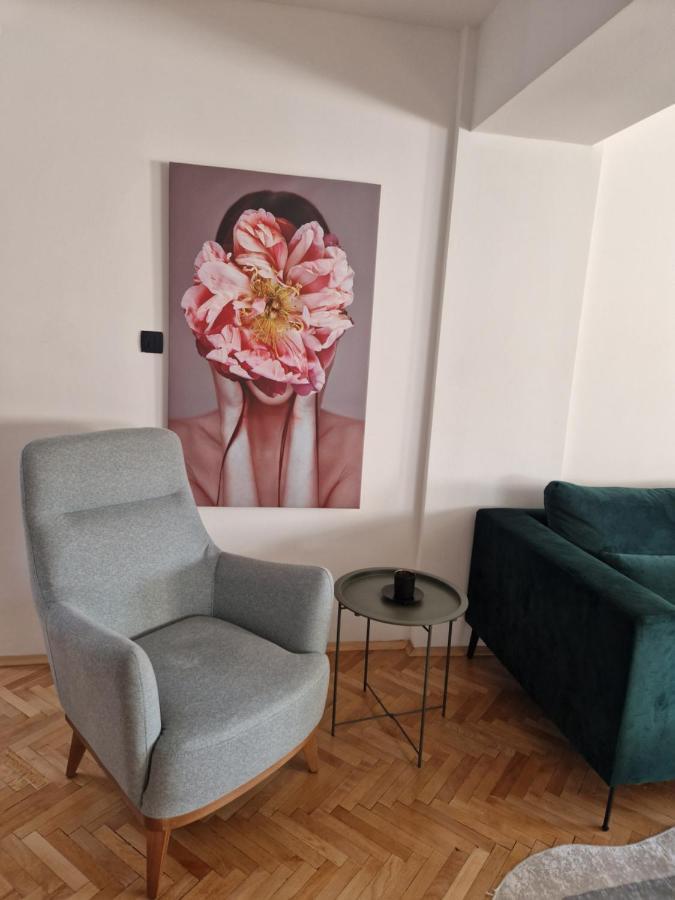 Comfy Center Apartment 斯科普里 外观 照片
